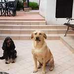 D'hotes Le Gachignard Bed & Breakfast