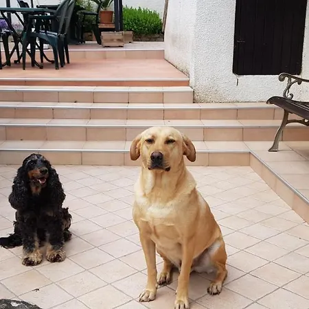 D'hotes Le Gachignard Bed & Breakfast