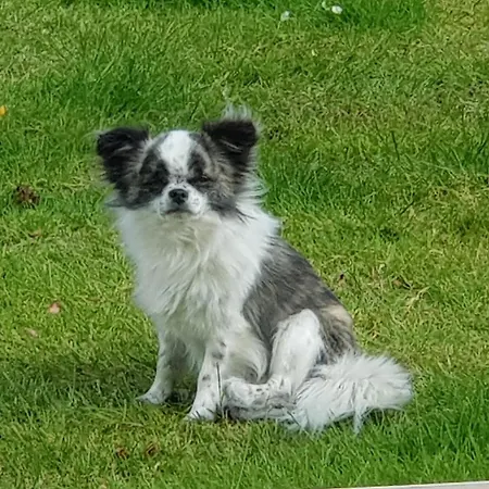 D'hotes Le Gachignard 3*