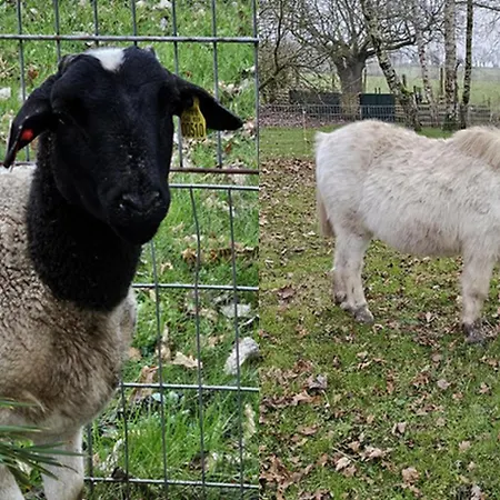 D'hotes Le Gachignard 3* Courlay