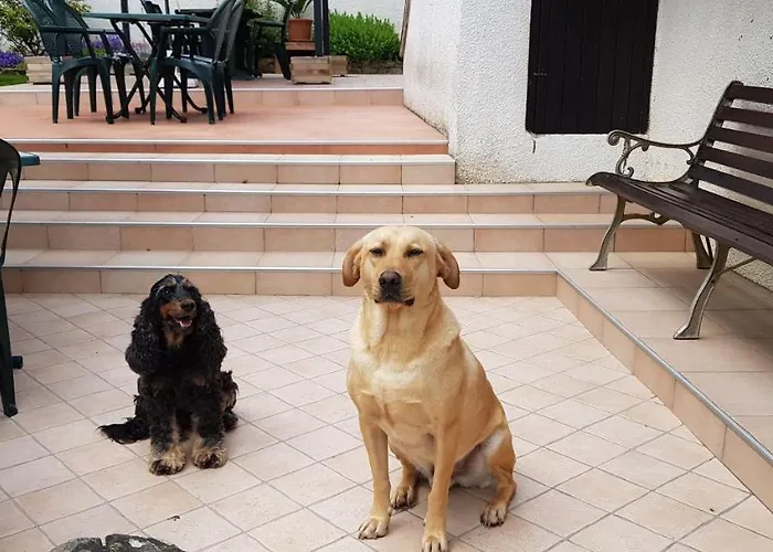 D'hotes Le Gachignard Bed and breakfast