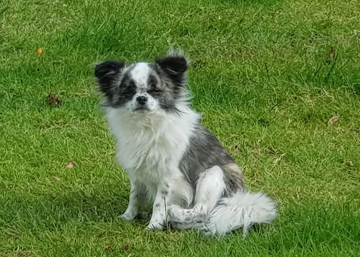 D'hotes Le Gachignard 3*